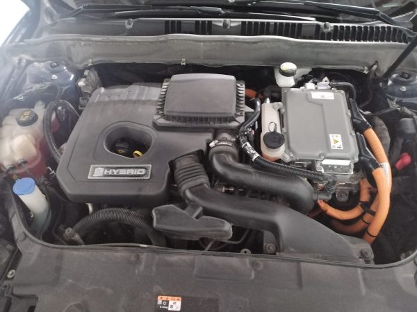 IMG-20260204-WA0006